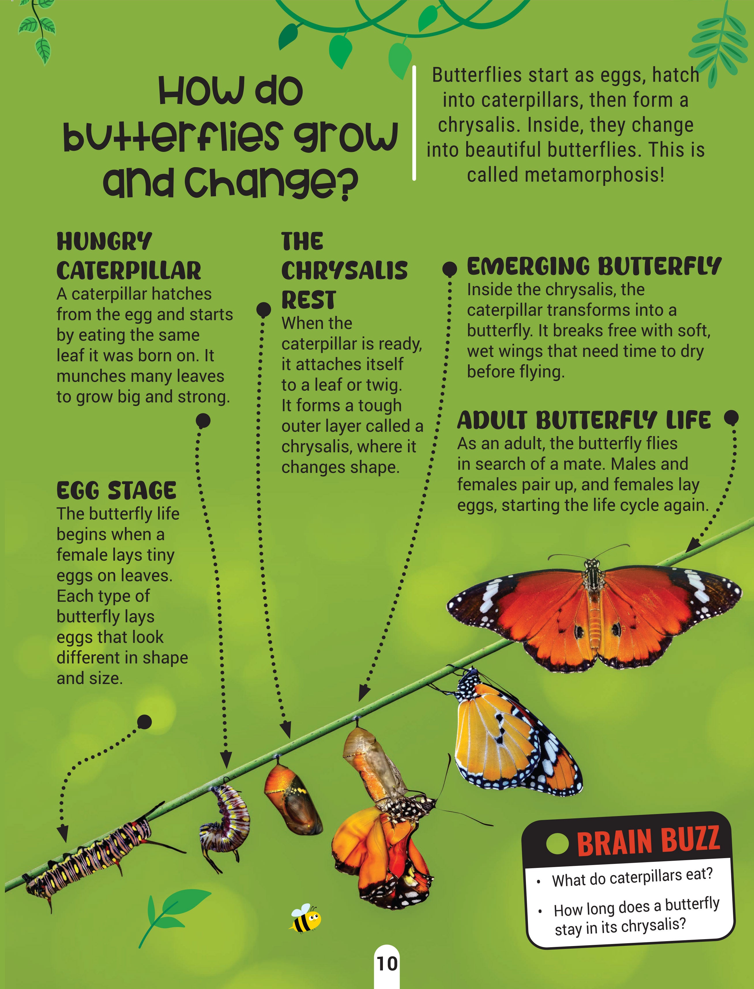Dreamland Publications Factopedia Science Scoop: Incredible Science Facts for Kids Age 6+