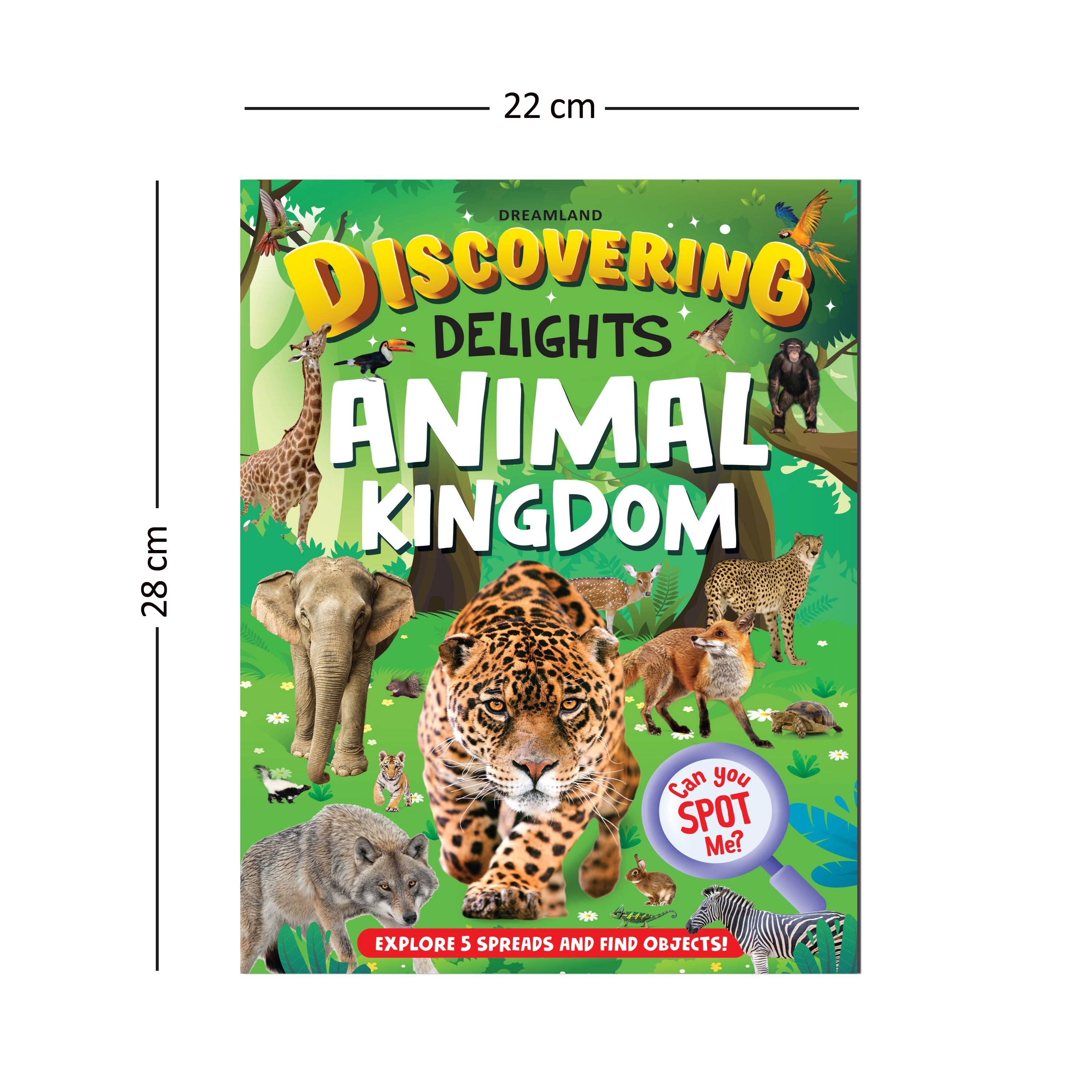Dreamland Publications Animal Kingdom Discovering Delights Flap Book for Kids Age 4 - 10 years