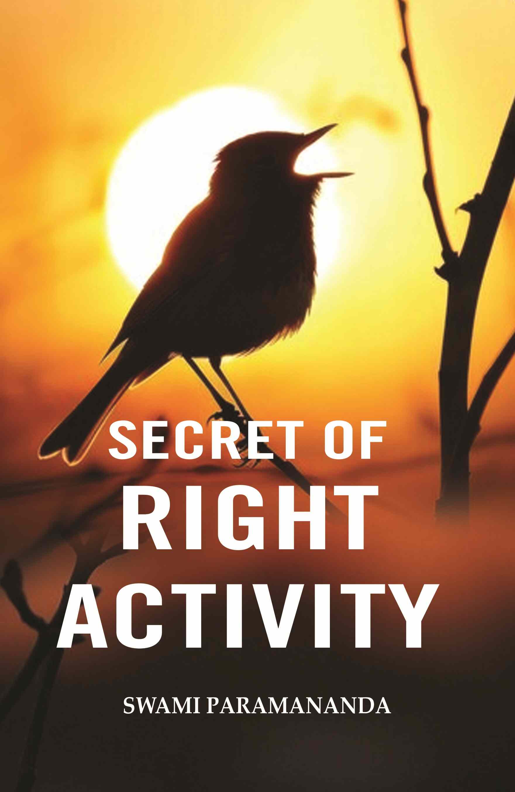 Secret of Right Activity - Gyan Books - Distacart