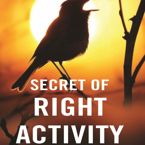 Secret of Right Activity - Gyan Books - Distacart