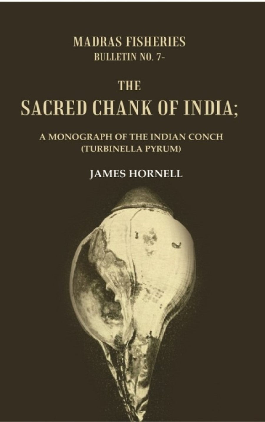 Madras fisheries bureau, bulletin No. 7-The sacred chank of India : a Monograph of the Indian conch (Turbinella pyrum) - Gyan Books - Distacart