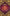 The Daiva of Deva with the Commentary Purushakara of Krishnalilasukamuni - Gyan Books