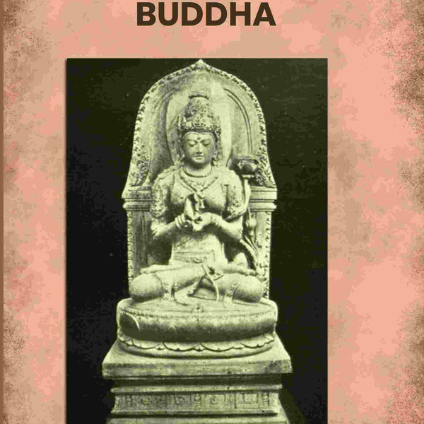 In The Footsteps Of The Buddha - Gyan Books - Distacart