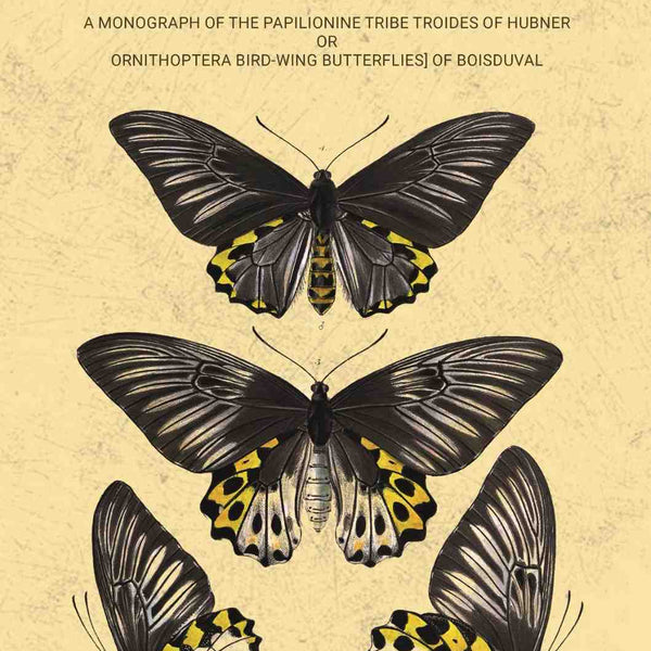 Icones ornithopterorum a monograph of the Papilionine tribe Troides of Hubner or Ornithoptera [bird-wing butterflies] of Boisduval (Vol. 1st) - Gyan Books - Distacart