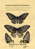 Thumbnail for Icones ornithopterorum a monograph of the Papilionine tribe Troides of Hubner or Ornithoptera [bird-wing butterflies] of Boisduval (Vol. 1st) - Gyan Books - Distacart