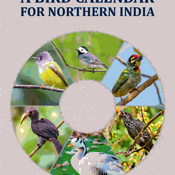 A bird calendar for northern India - Gyan Books