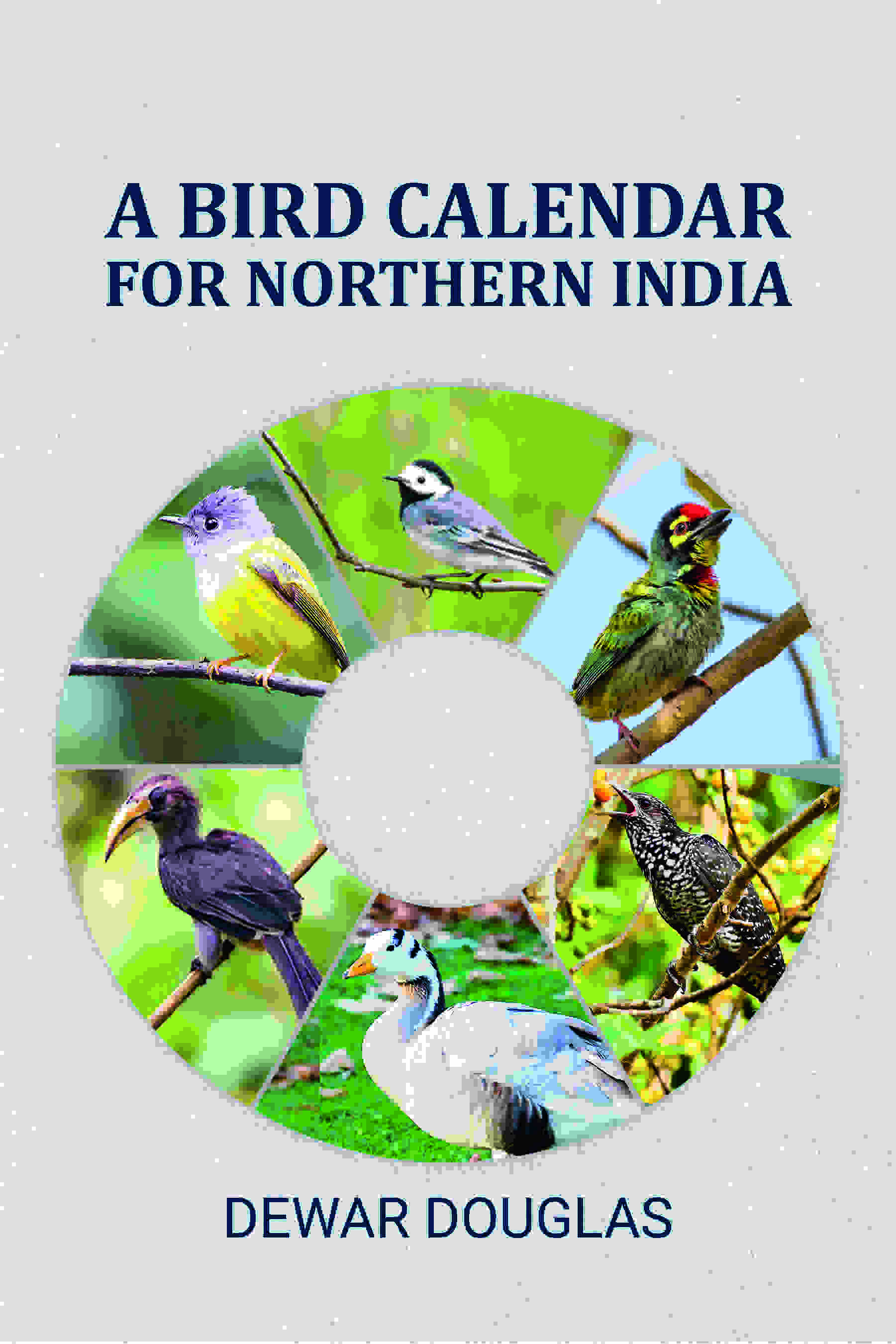 A bird calendar for northern India - Gyan Books