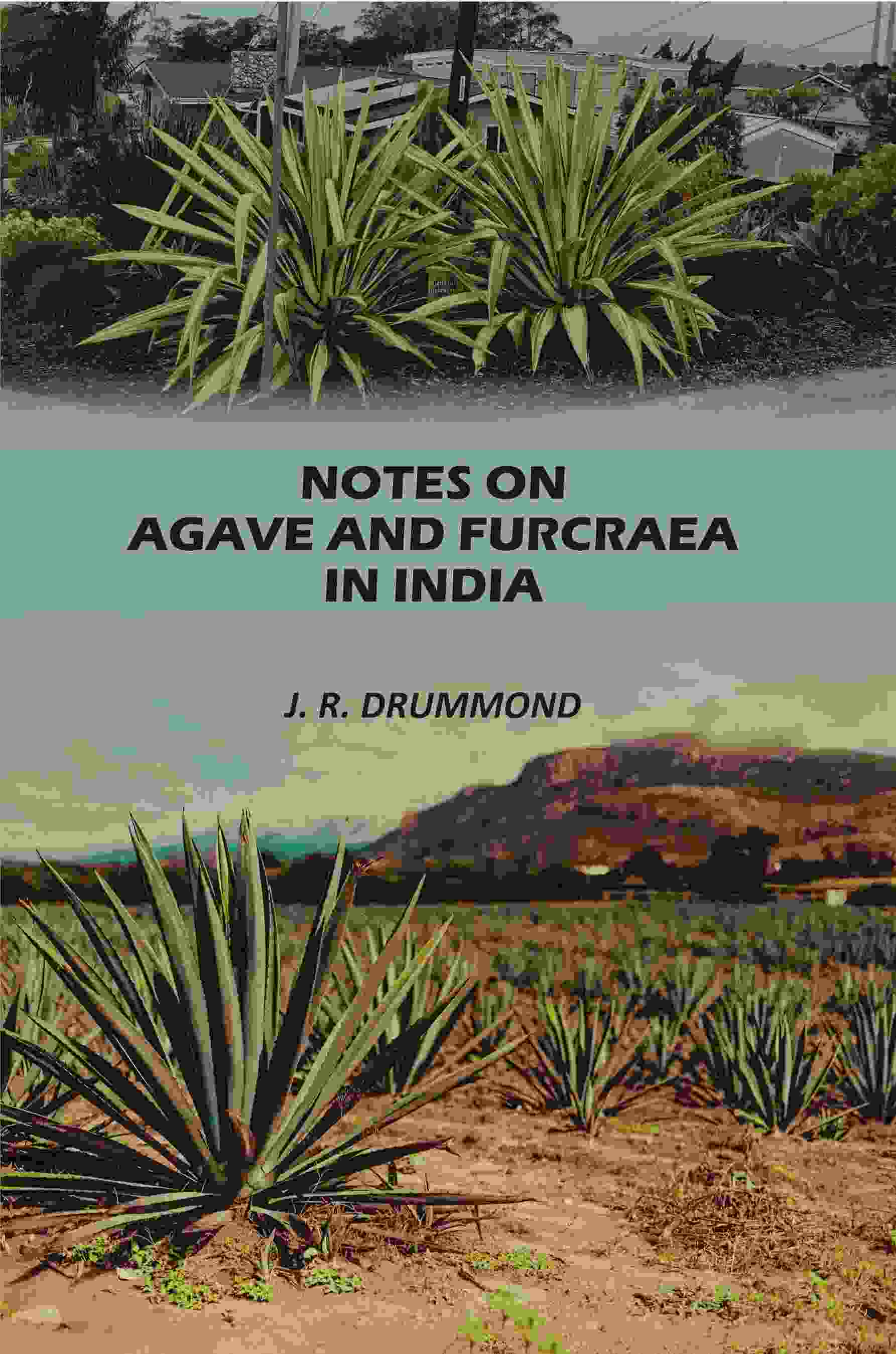 Notes on Agave and Furcraea in India - Gyan Books - Distacart