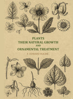 Thumbnail for Plants, their natural growth and ornamental treatment - Gyan Books - Distacart
