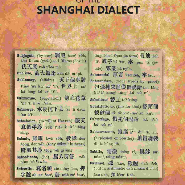 A Vocabulary of the Shanghai Dialect - Gyan Books