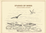 Thumbnail for Studies of birds - Gyan Books