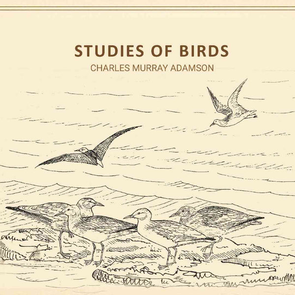 Studies of birds - Gyan Books
