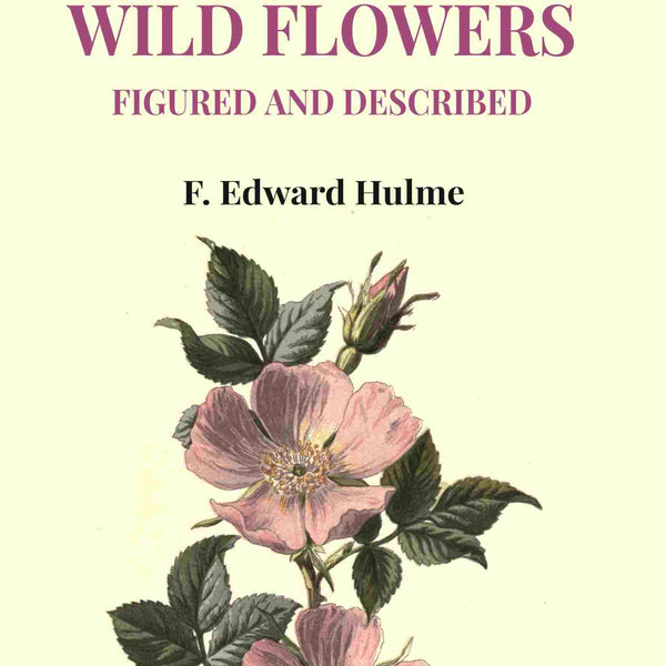 Familiar Wild Flowers Figured and Described - Gyan Books