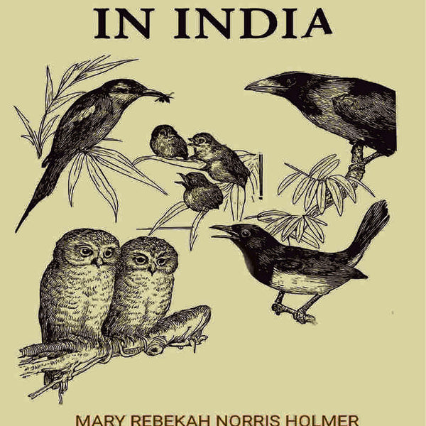 Bird Study in India - Gyan Books - Distacart