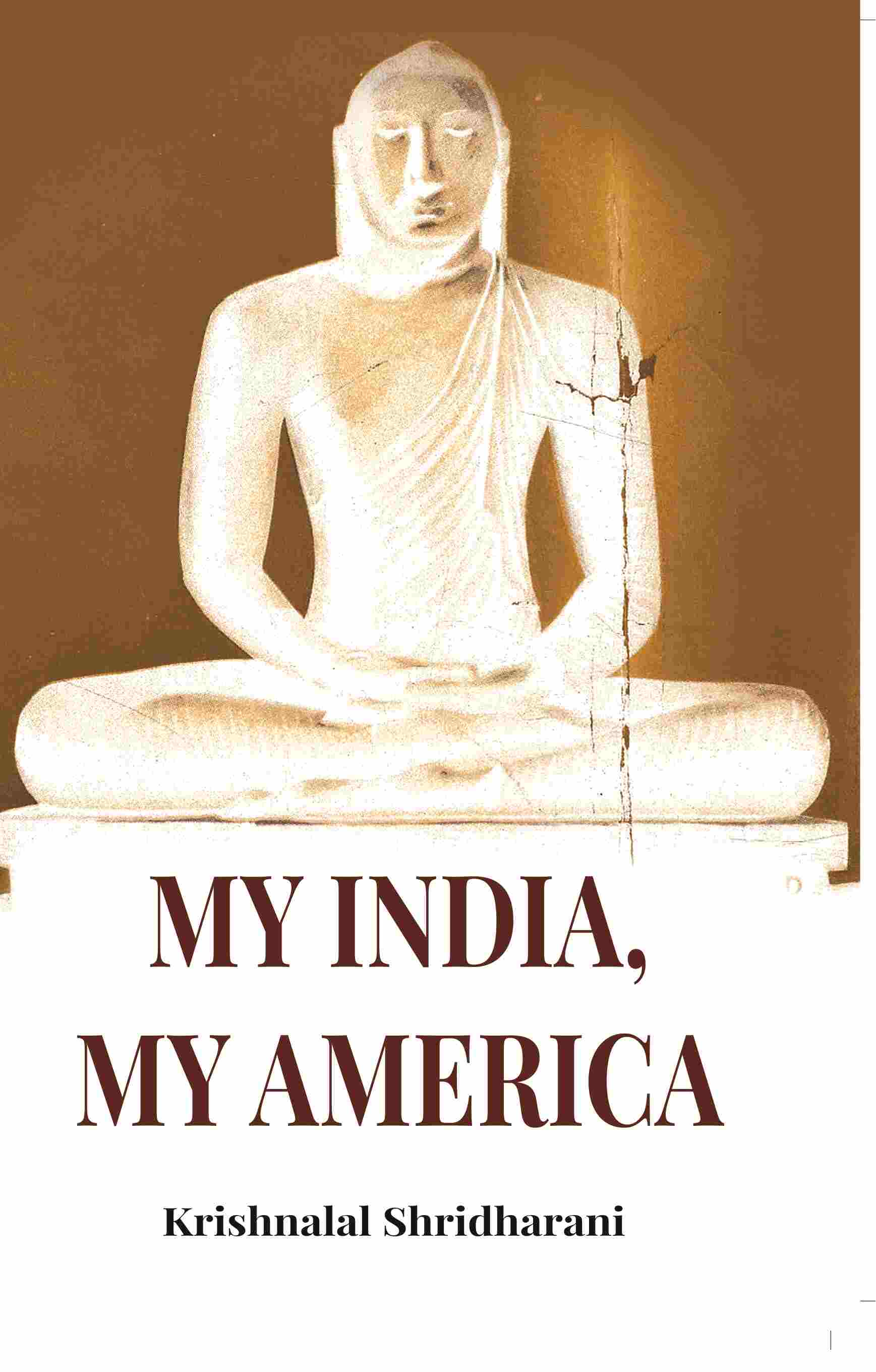 My India, My America - Gyan Books - Distacart