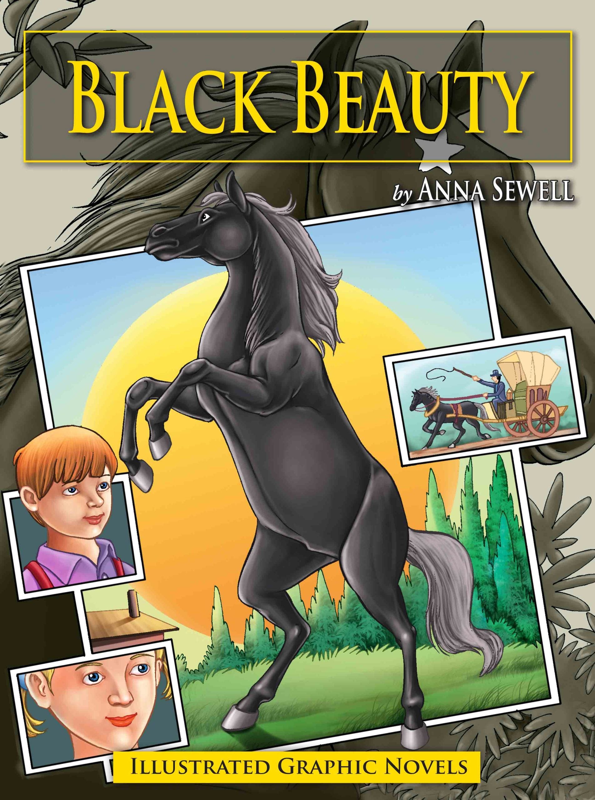 Black Beauty : Graphic Novels - Om Books - Distacart