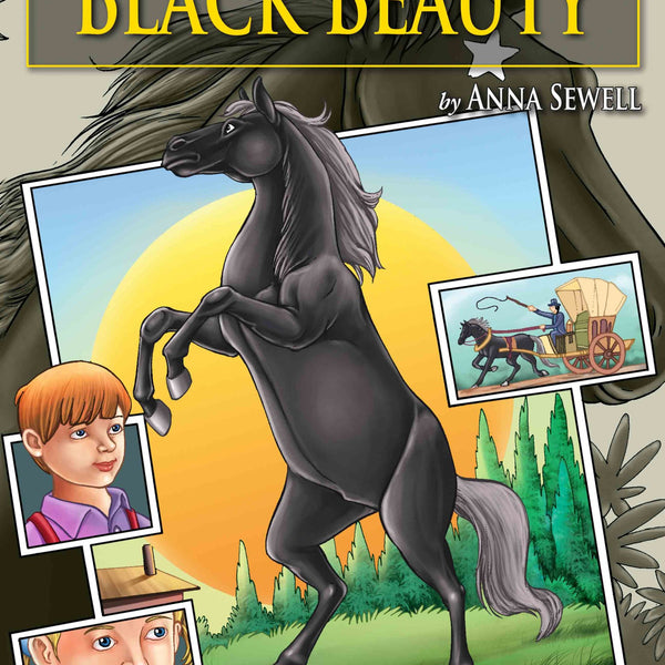 Black Beauty : Graphic Novels - Om Books - Distacart