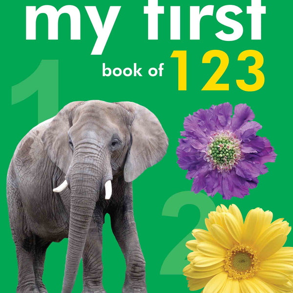 My First Book of 123 - Om Books - Distacart