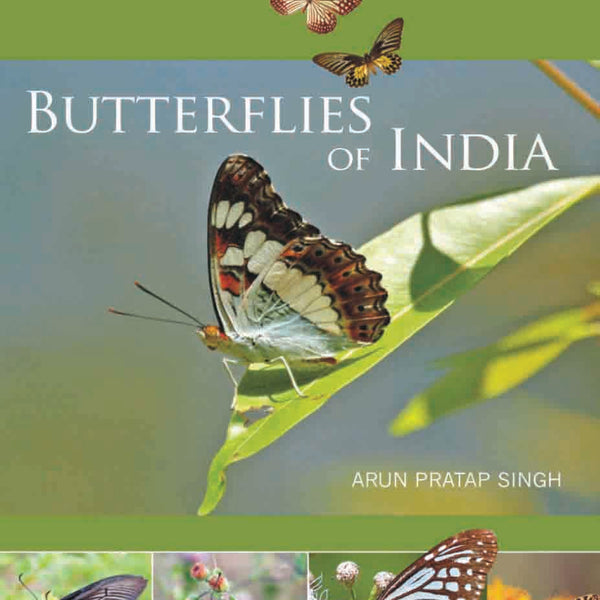 Butterflies of India by Arun Pratap Singh - Om Books - Distacart