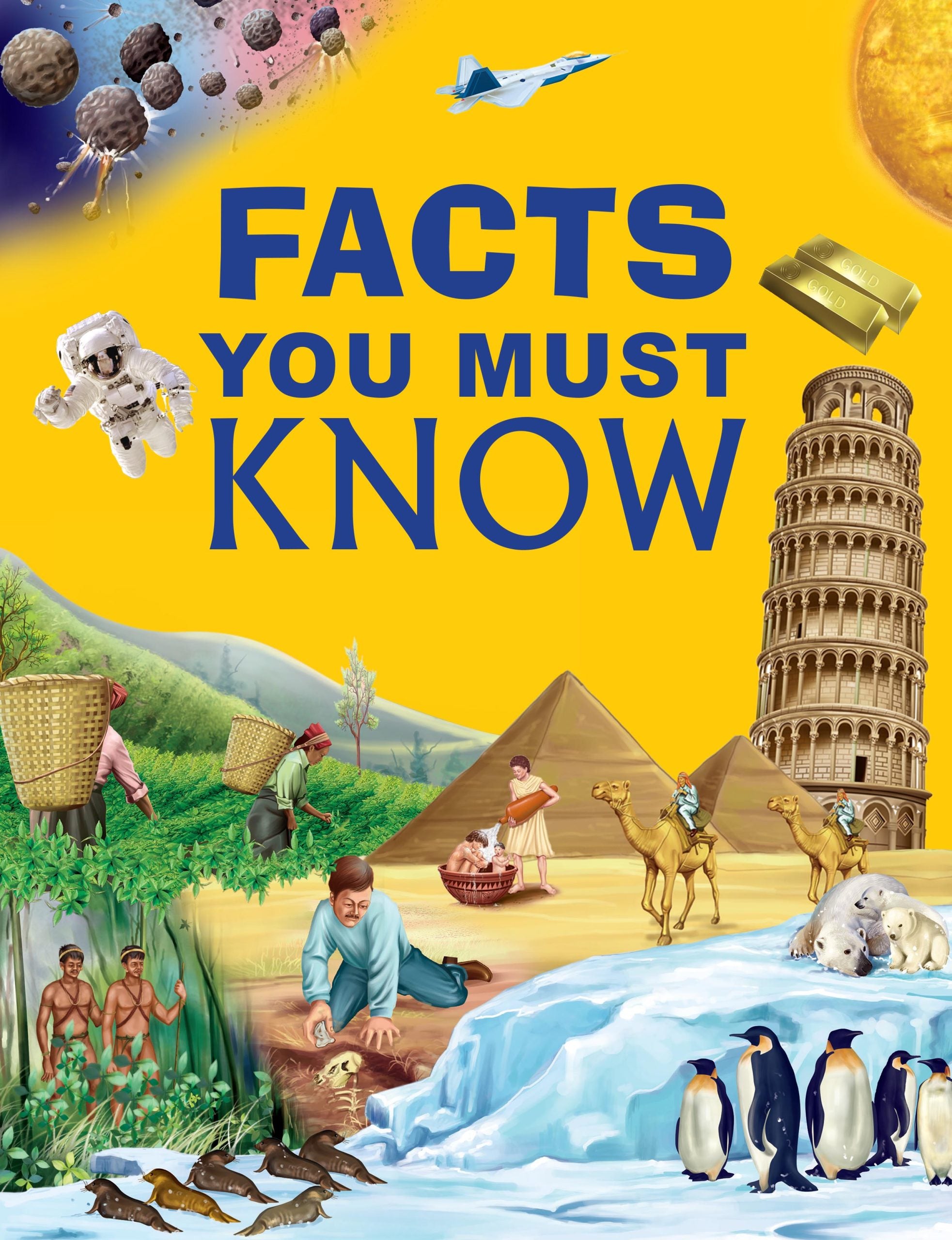 Facts You Must Know (Binder) - Om Books - Distacart