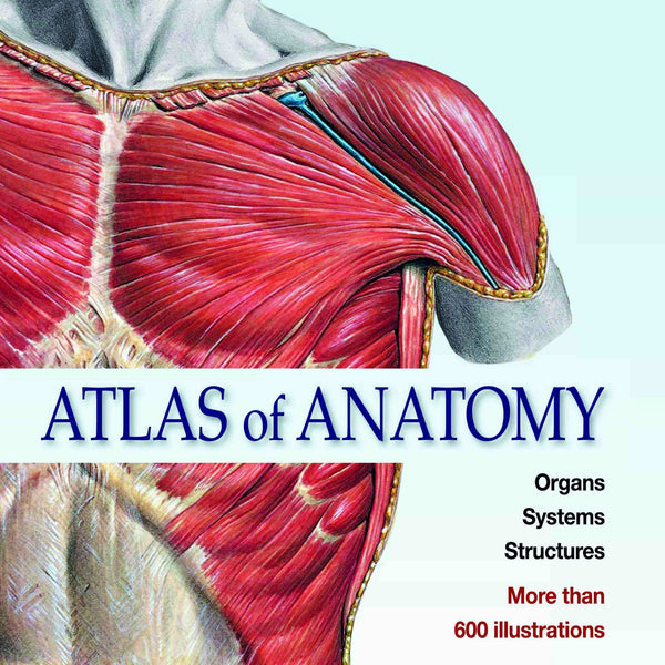 Atlas of Anatomy Organs Systems Structures by Johannes Sobotta - Om Books - Distacart