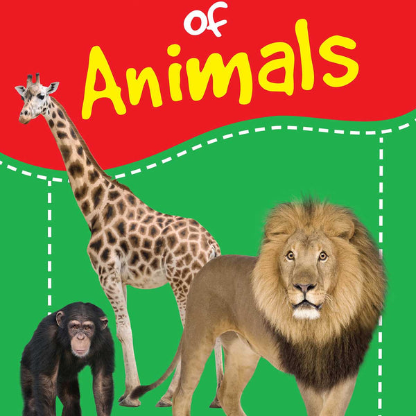 My First Book of Animals - Om Books - Distacart