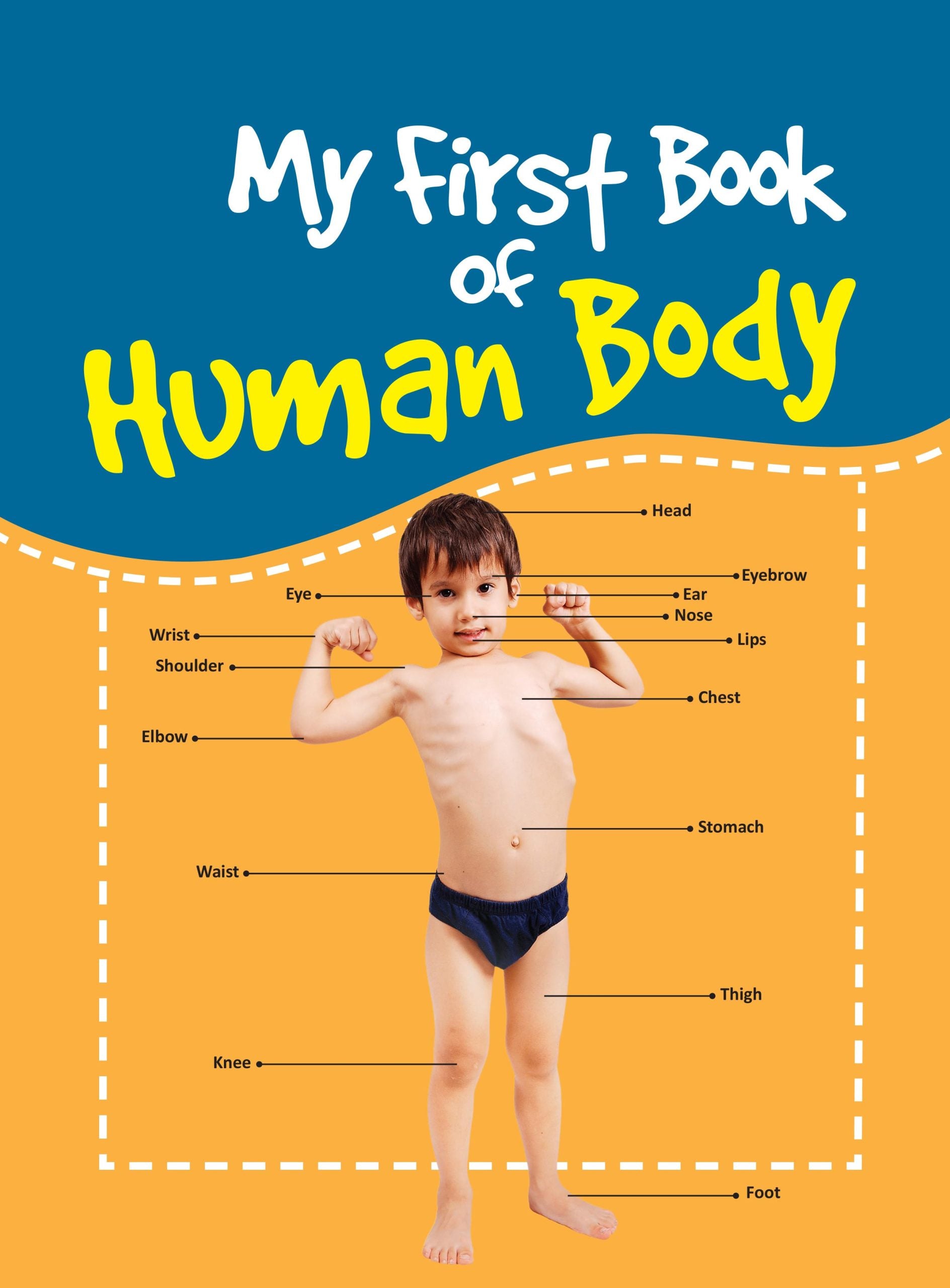 My First Book of Human Body - Om Books - Distacart