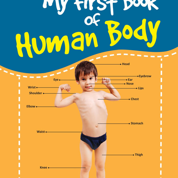 My First Book of Human Body - Om Books - Distacart
