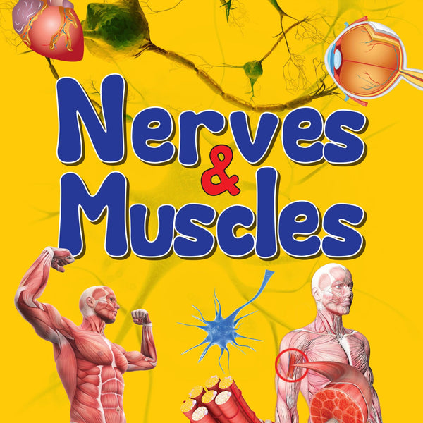 Nerves & Muscles : Human Body Facts - Om Books - Distacart