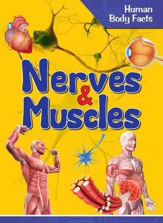 Nerves & Muscles : Human Body Facts - Om Books - Distacart
