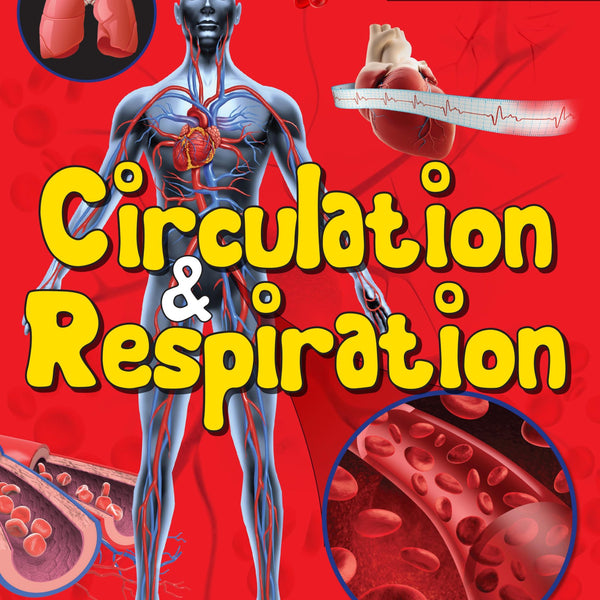 Circulation & Respiration : Human Body Facts - Om Books - Distacart