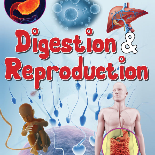 Digestion & Reproduction : Human Body Facts - Om Books - Distacart