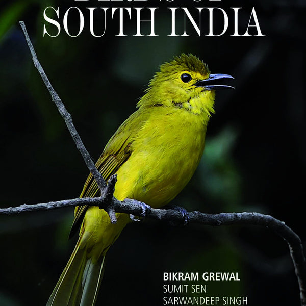 Birds of Southern India by Richard Grimmett,Tim Inskipp - Om Books - Distacart