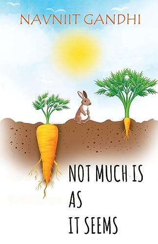 Not Much Is As It Seems-Navniit Gandhi - Dista