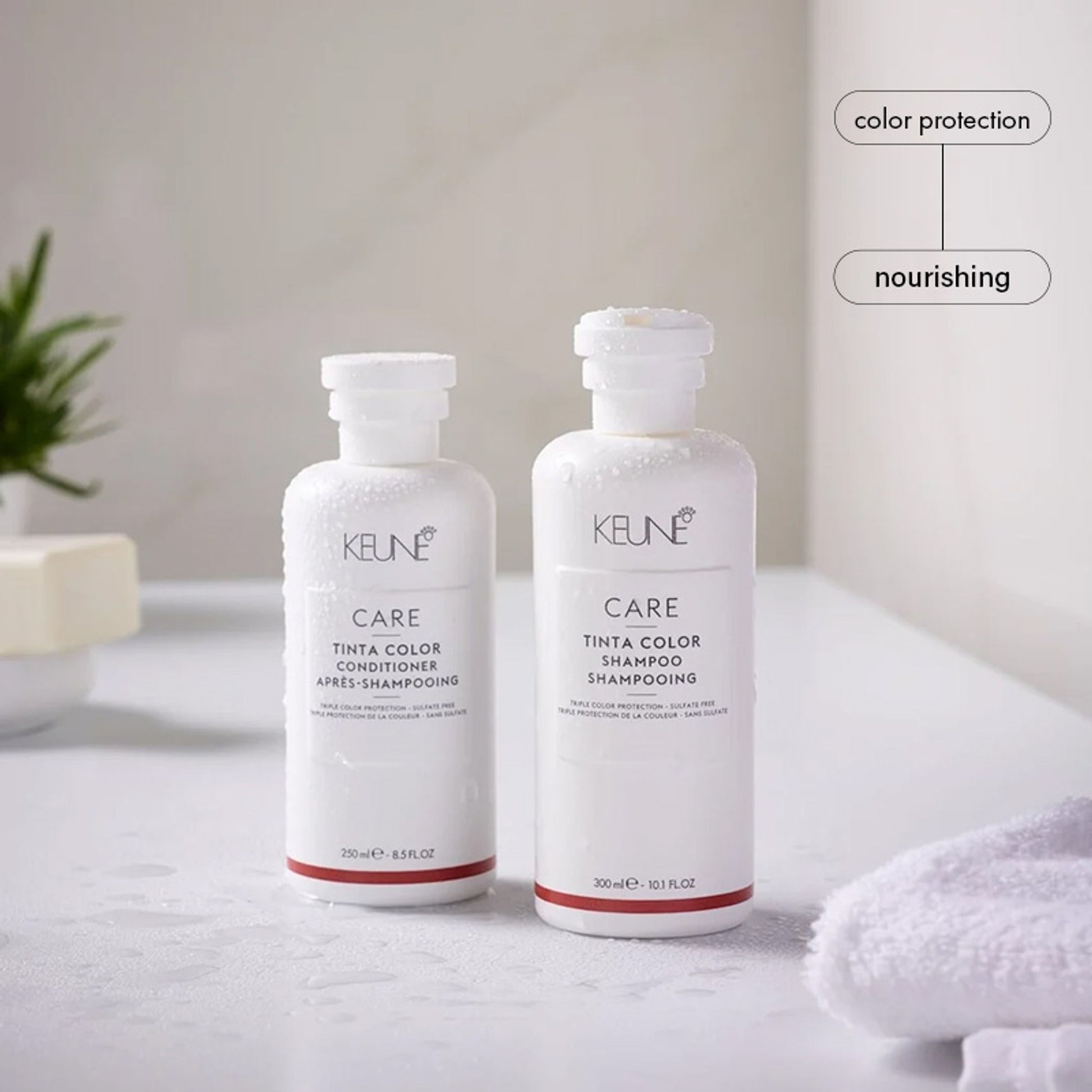 Keune Haircosmetics Care Tinta Color Shampoo - Distacart