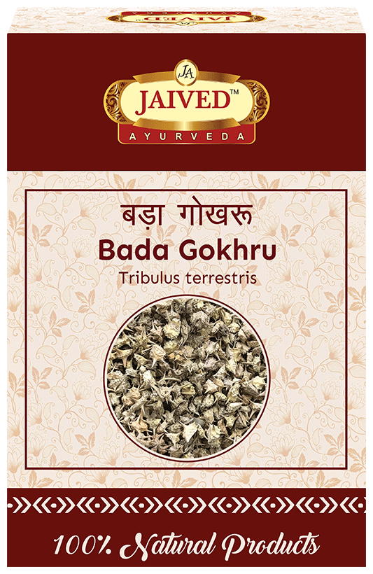 Jaived Ayurveda Bada Gokhru | Boosts Stamina, Enhances Muscle Strength, & Physical