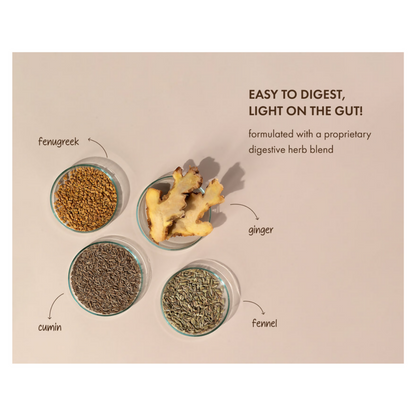 Cosmix No Nonsense Plant Protein Chikmagalur Mocha - Distacart