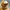 download - 2025-09-02T110230.602-Photoroom