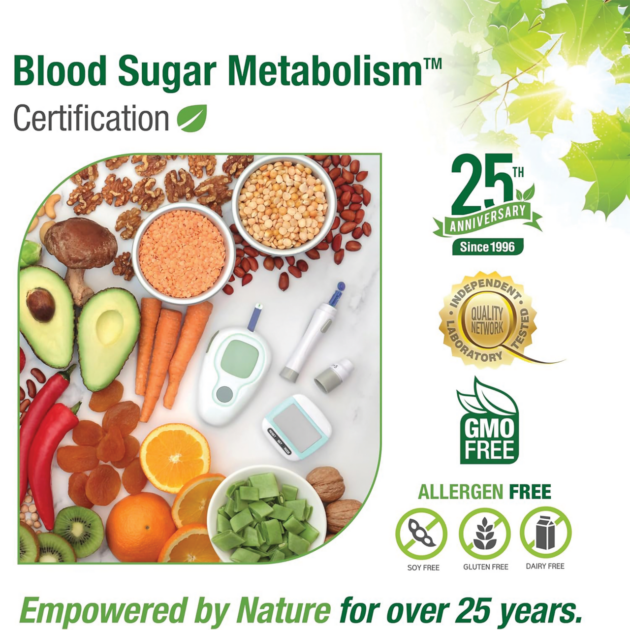 Blood Sugar Metabolism 06