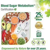 Thumbnail for Blood Sugar Metabolism 06