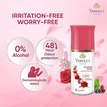Thumbnail for Yardley London Rose Underarm Deodorant Roll On - Dista