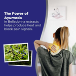 Thumbnail for Hansaplast Lion Heat Plaster Back and Neck Pain Relief Patches Set of 30 pcs