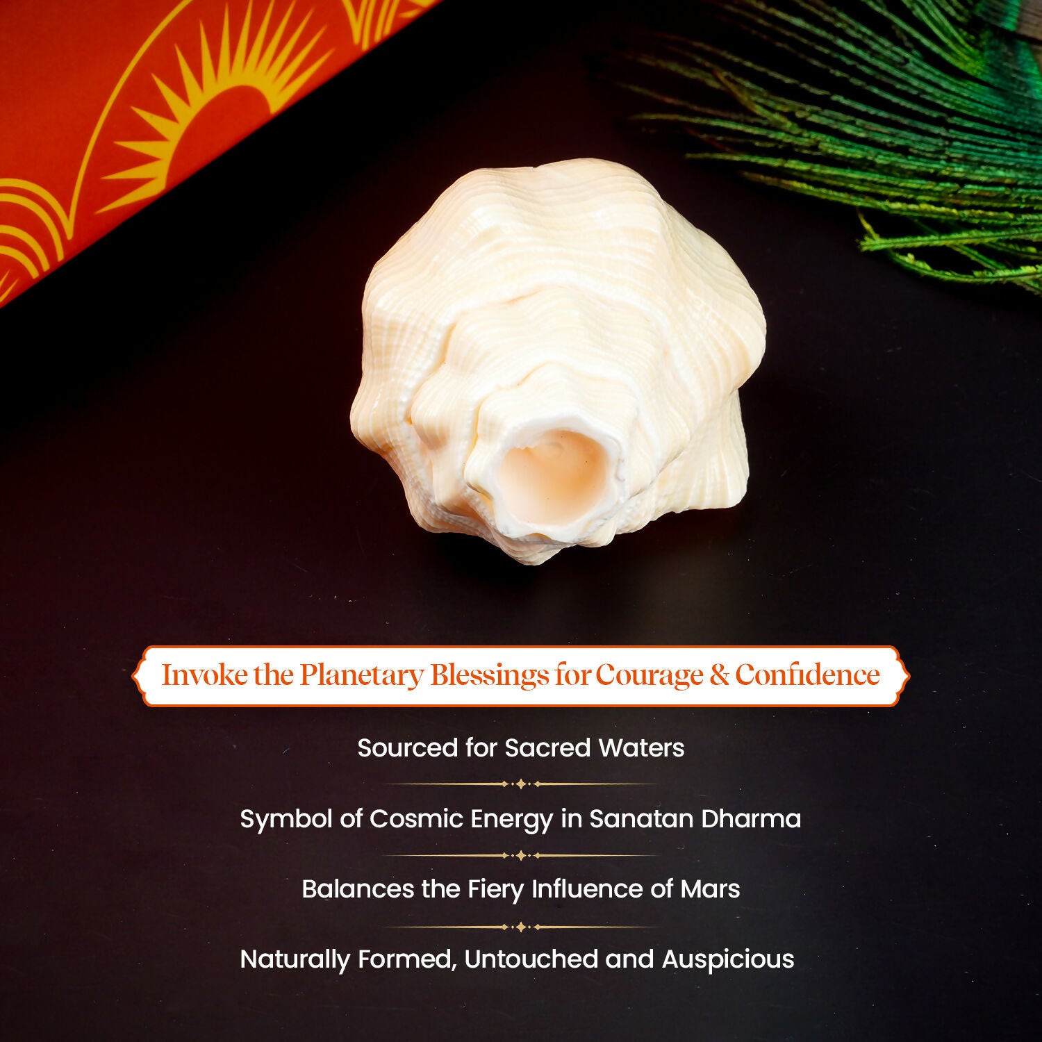 Pujashree Mangal Shankh – Navagraha Conch For Strength, Courage & Protection - Dista