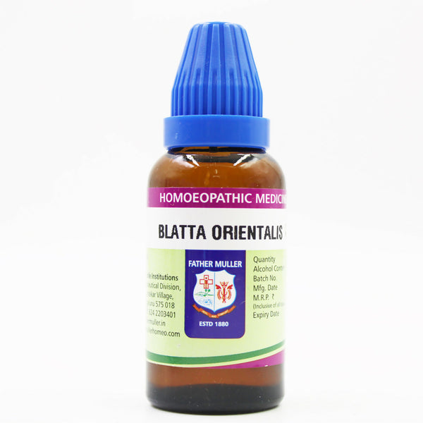 Father Muller Blatta Orientalis Mother Tincture Q - Distacart