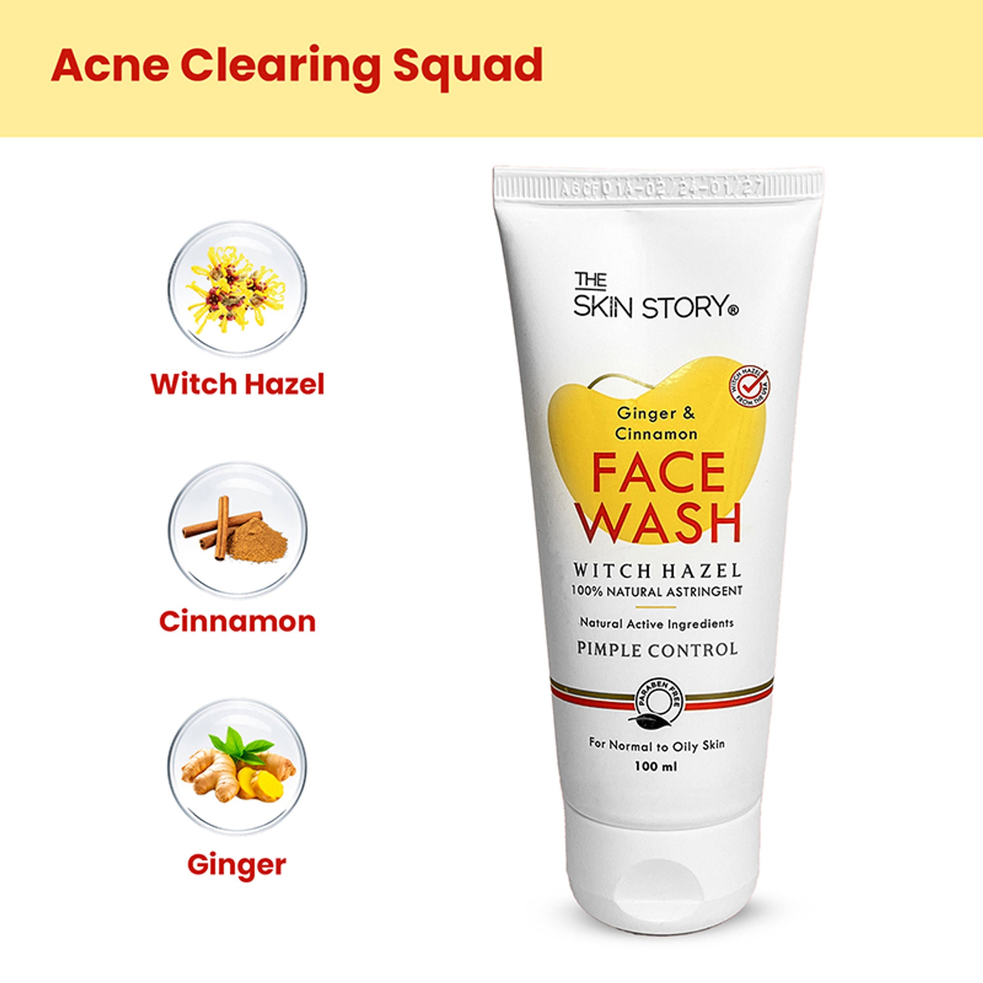 The Skin Story Oil & Pimple Control Ginger Cinnamon Face Wash - Distacart
