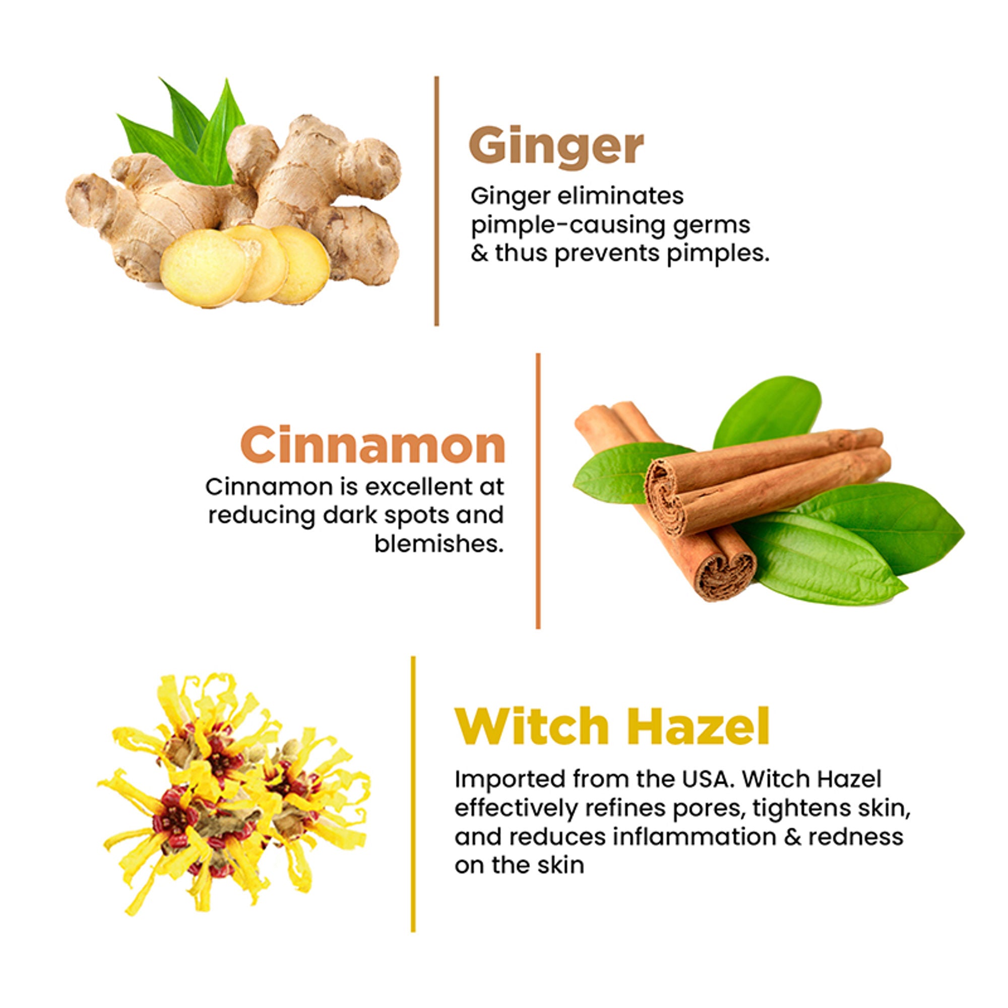 The Skin Story Oil & Pimple Control Ginger Cinnamon Face Wash - Distacart