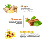 Thumbnail for The Skin Story Oil & Pimple Control Ginger Cinnamon Face Wash - Distacart