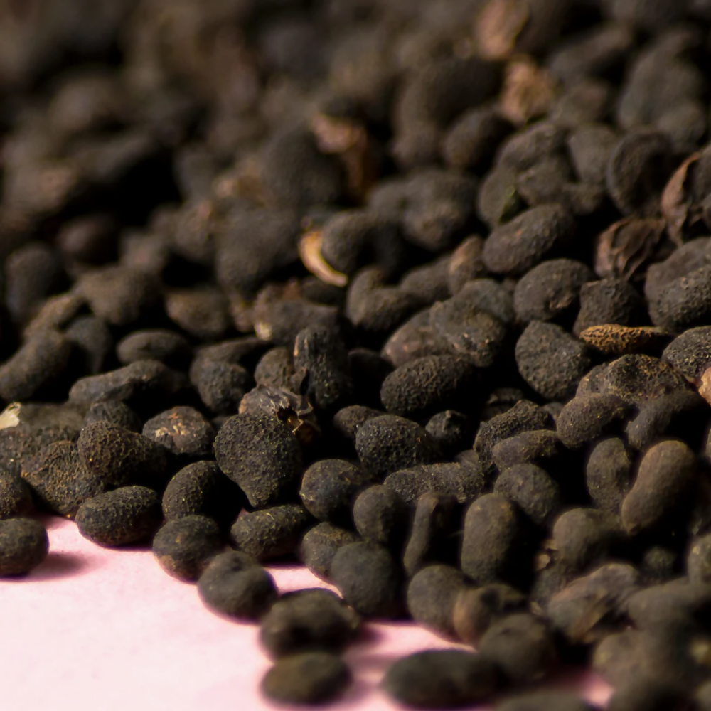 Nxtgen Ayurveda Babchi Seeds - Distacart