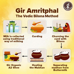 Thumbnail for Giramritphal A2 Pure Desi Gir Cow Ghee Vedic Bilona Method - Distacart