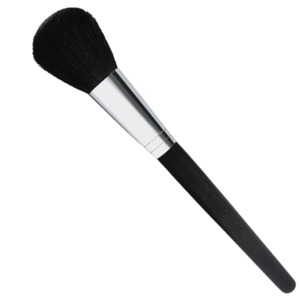 Bronson Professional Blush Brush - Dista